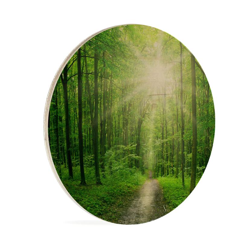Stampa su legno - Sunny forest