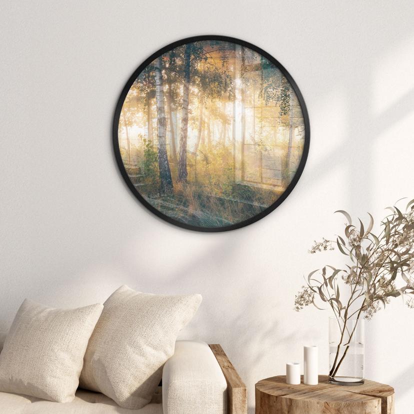 Poster Solsken i björkskogen - Kado - Rund