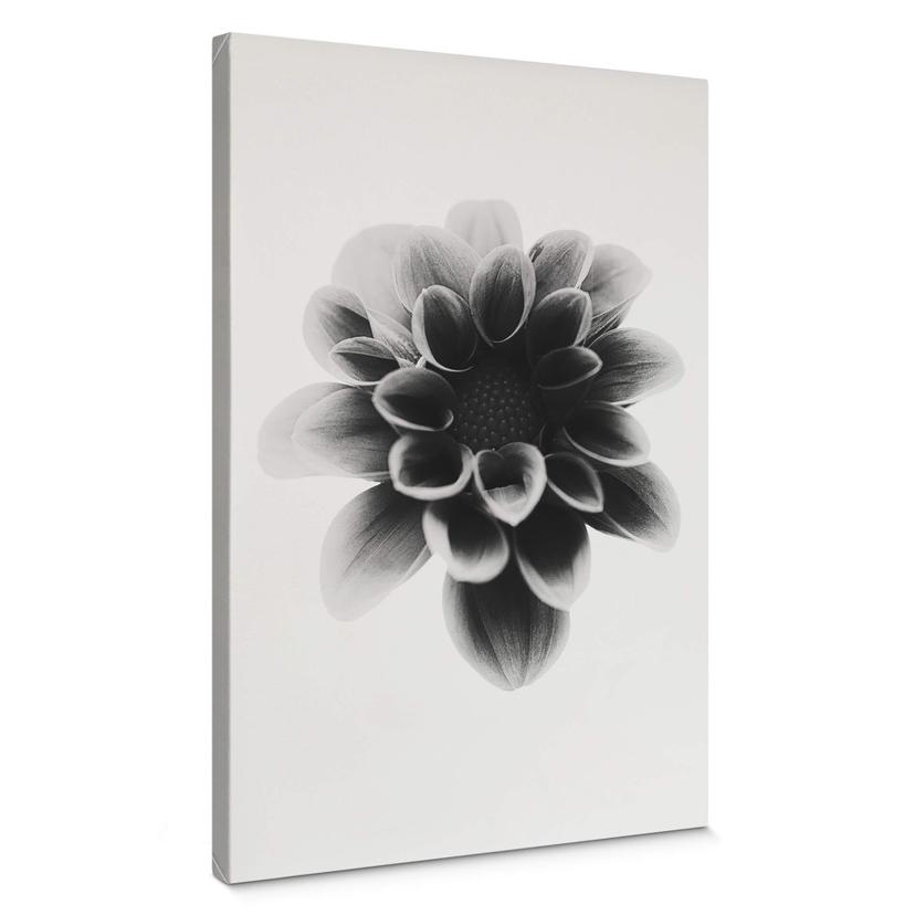 Tableau sur toile Grønkjær - Dahlia