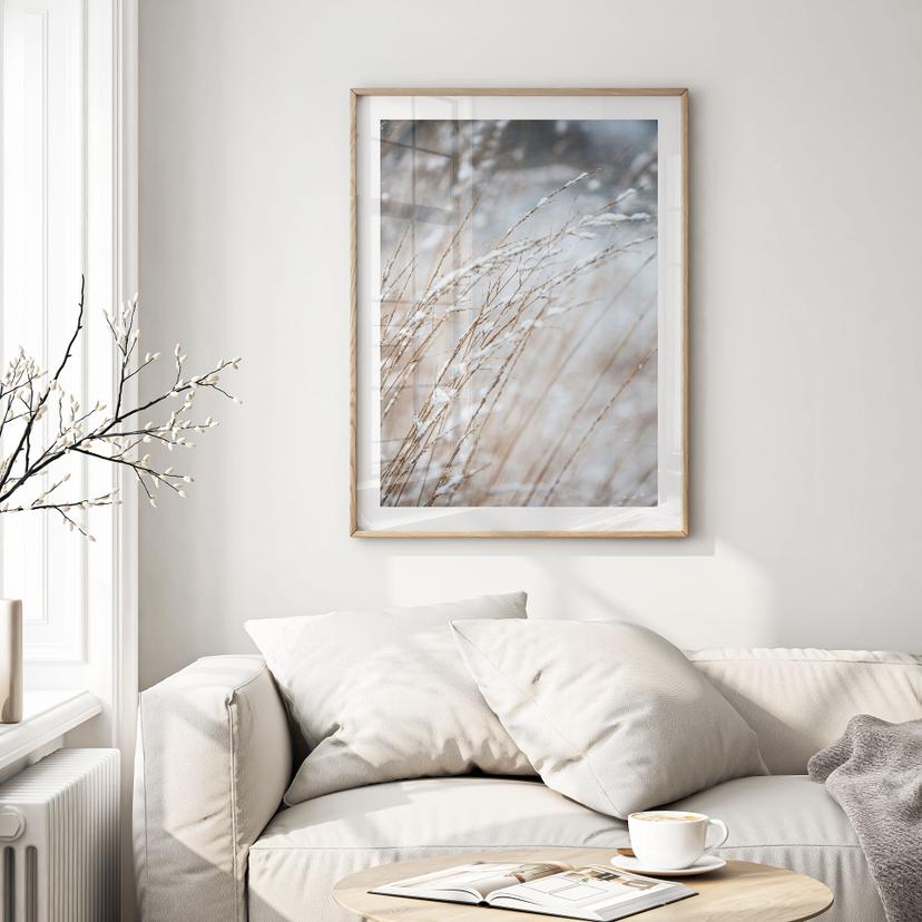 Poster Erbe delicate nella neve - Böhmer