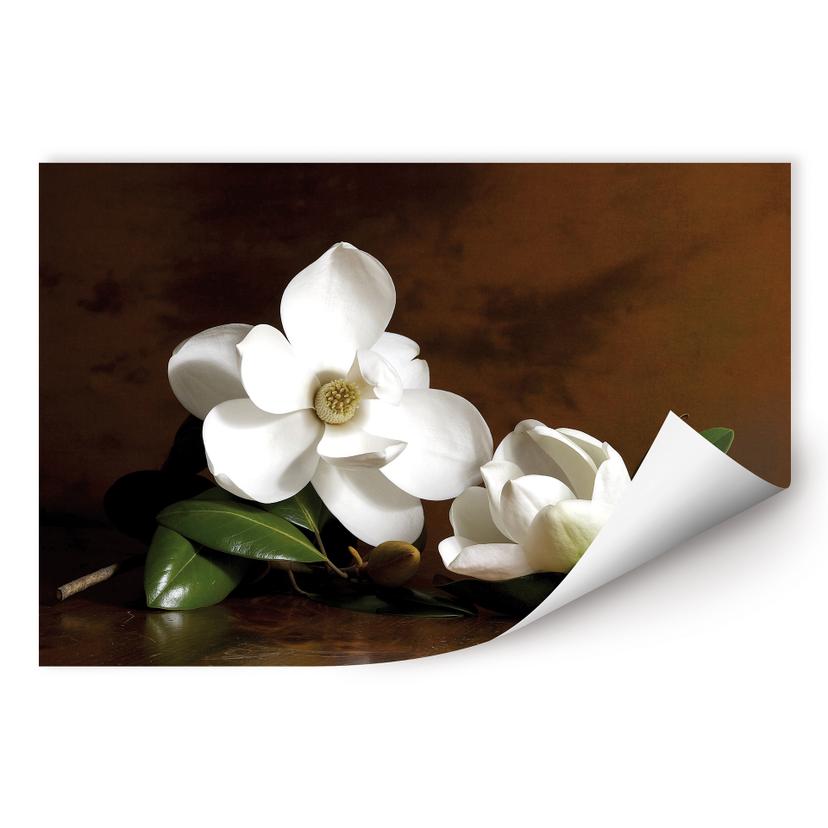Wallprint W - Magnolienzweig mit Blättern