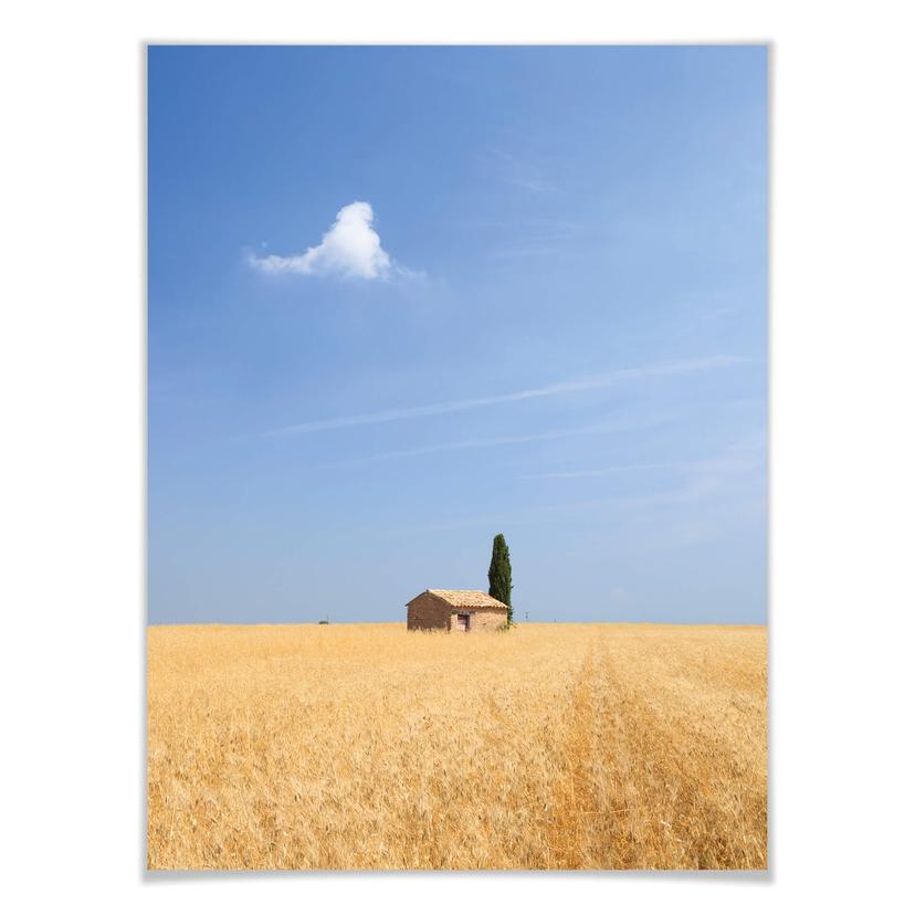 Poster Colombo - Toscana