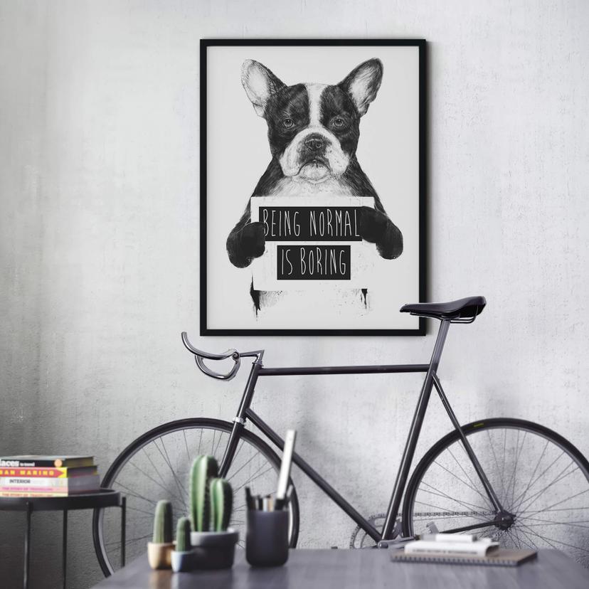 Poster Solti - Det är tråkigt att vara normal