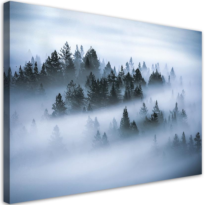 Canvasbillede, Skov i tåge