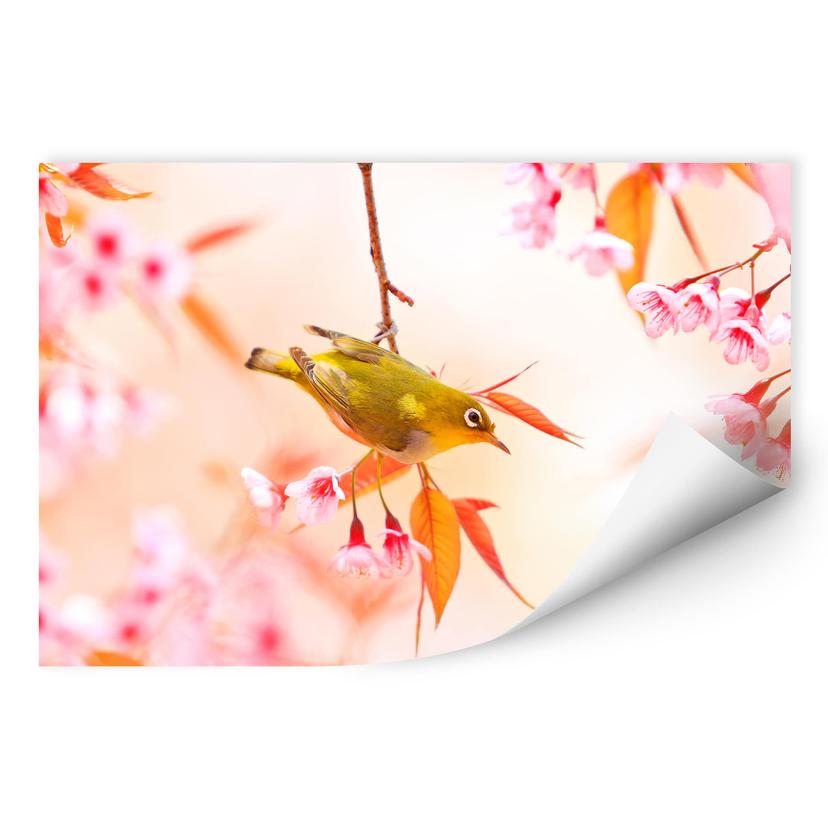 Zelfklevende Poster - Vogeltjes in de lente