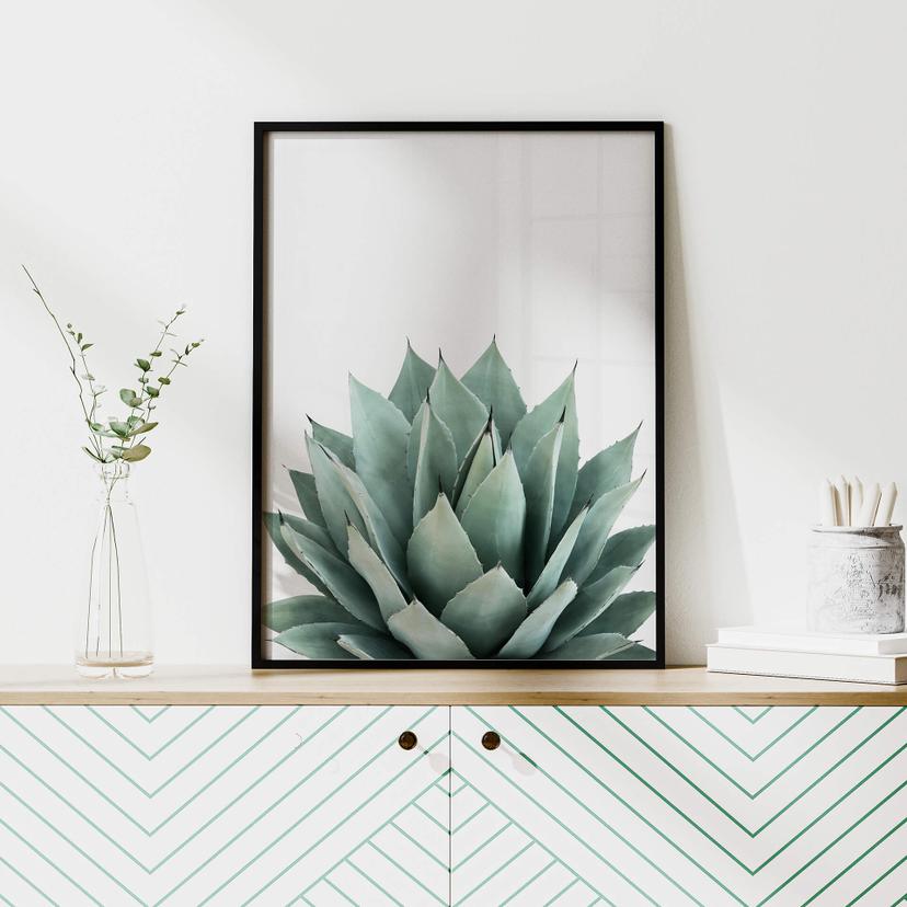 Poster Sisi & Seb - Succulente