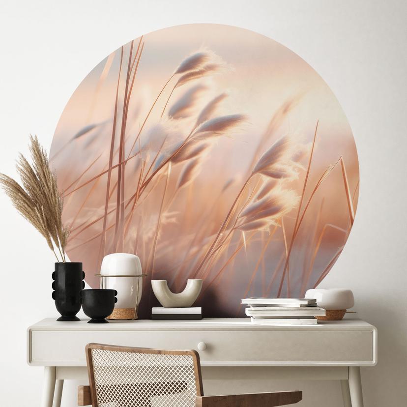 Vinilo decorativo Dune grass in the evening sun - Treechild - Redondo