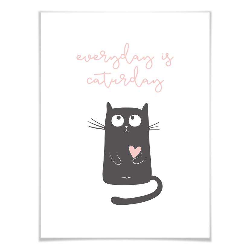 Poster - Everyday is caturday