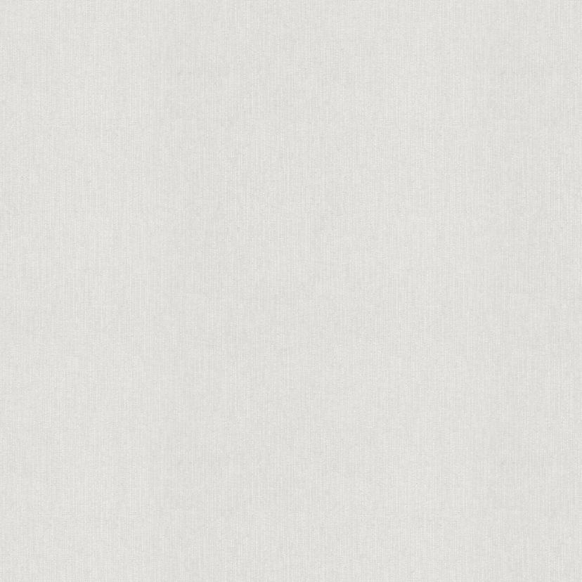Papier peint intissé recouvrable A.S. Création Meistervlies Pro Protect 2 blanc