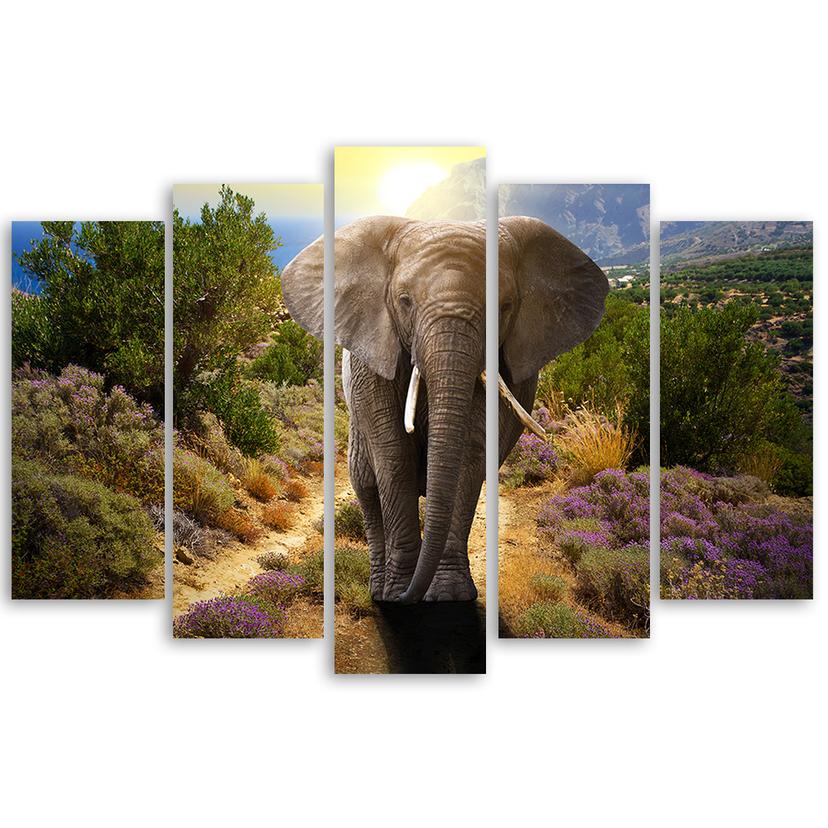 Stampa su tela 5 pezzi, elefante Safari Africa natura