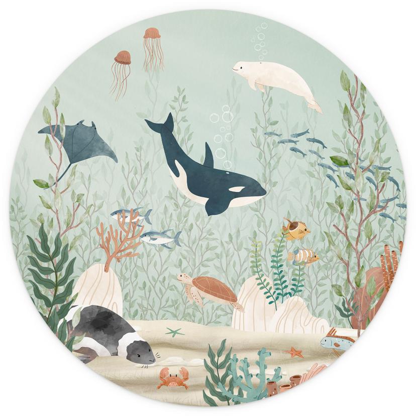 Fotomurale tondo Creature marine nelle profondità dell'oceano - Oliver Robins - carta da parati in t