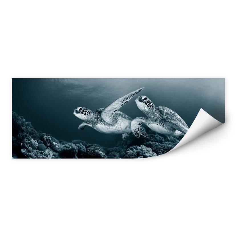 Zelfklevende Poster - Narchuk - Traveling Turtles