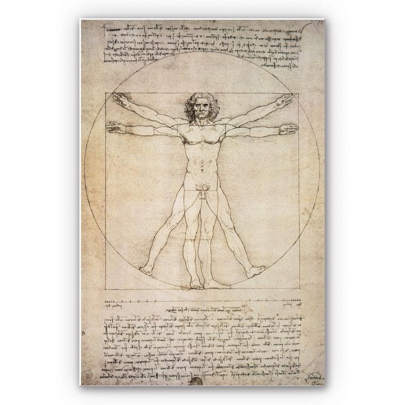Tableau Forex - De Vinci - Etude des proportions
