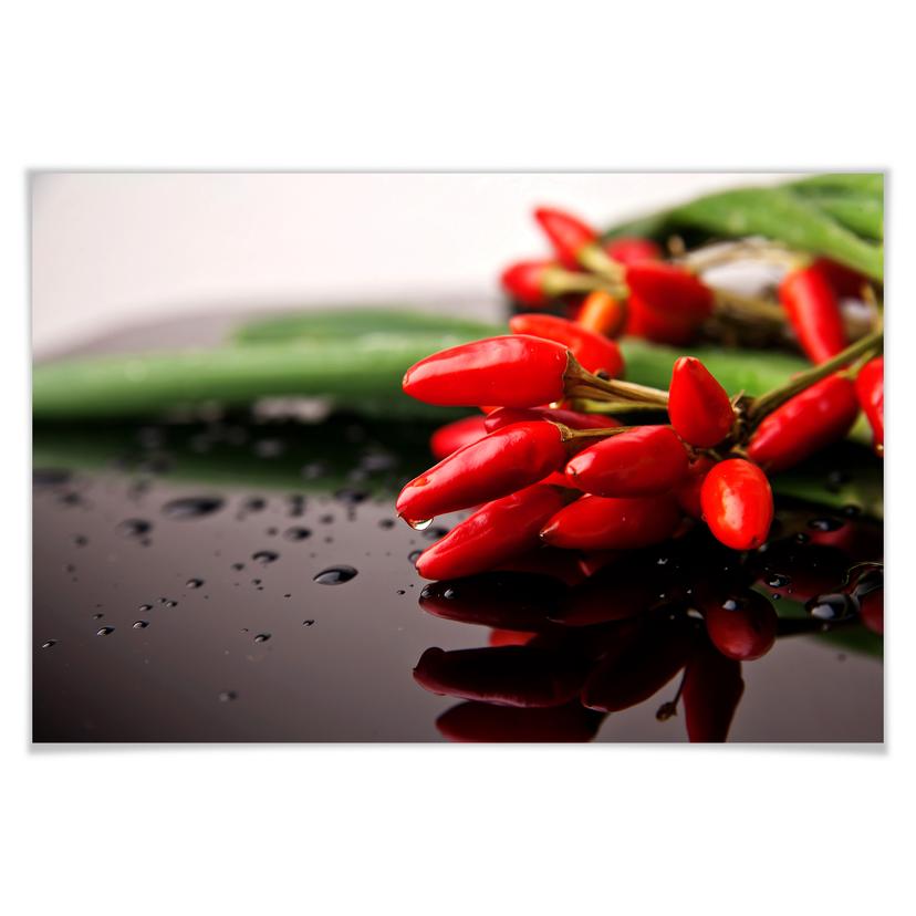 Poster - Piments exotiques