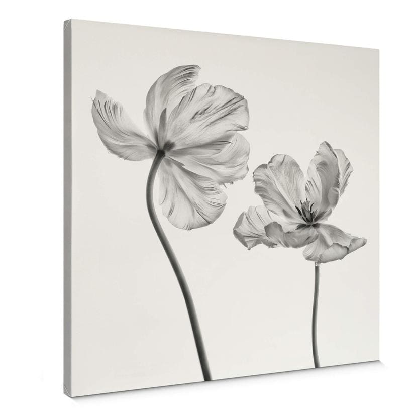 Lienzo Grønkjær - Flor de tulipán