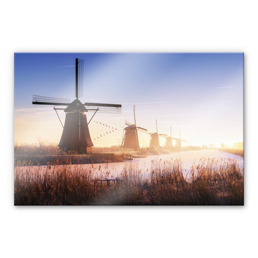 Akrylbillede Pablo - Kinderdijk 4
