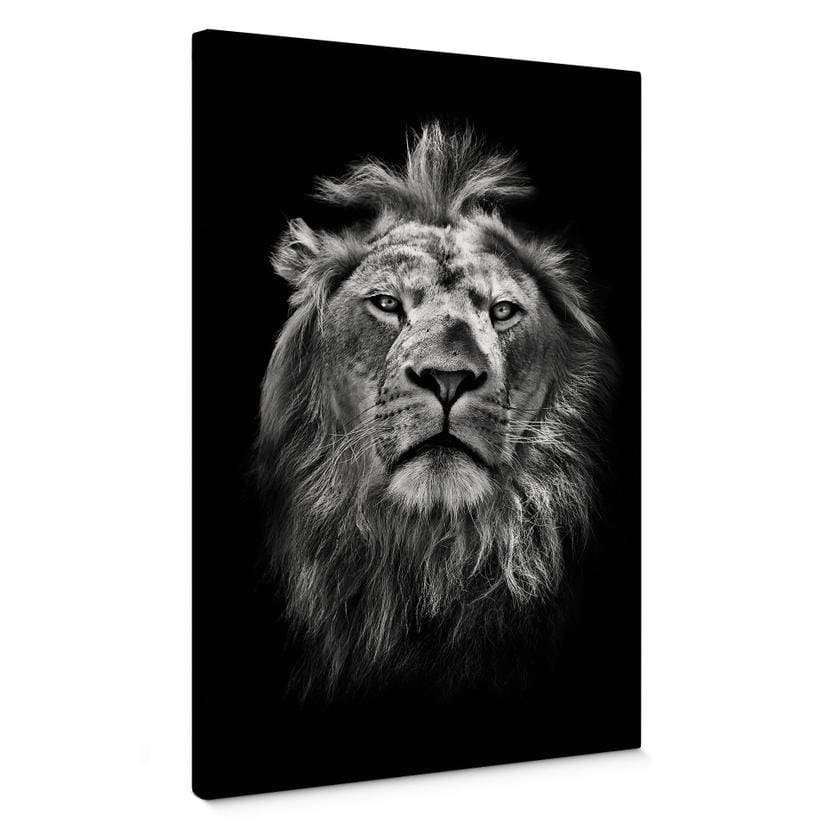Tableau sur toile Lion