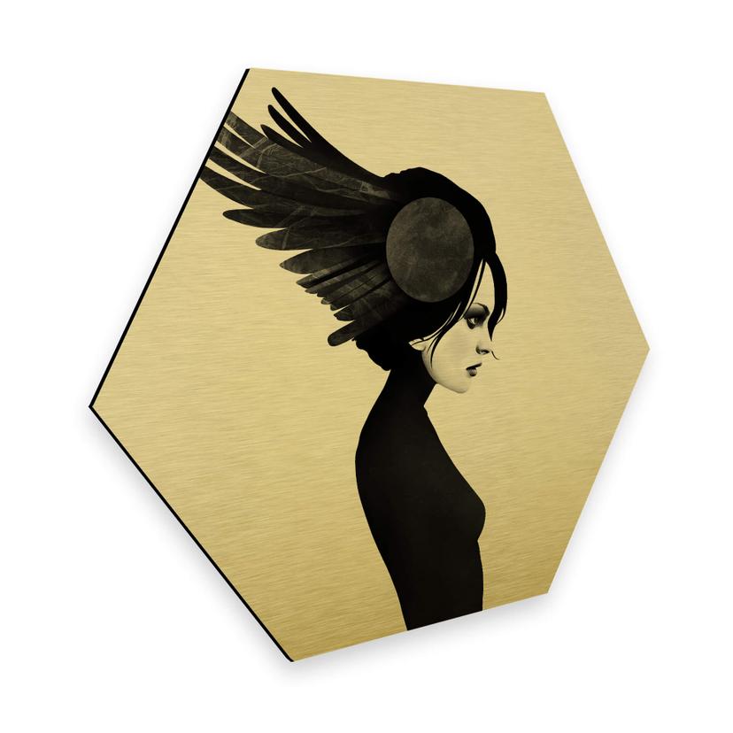 Hexagon Alu-Dibond Goudeffect Ireland - Amy - Wings