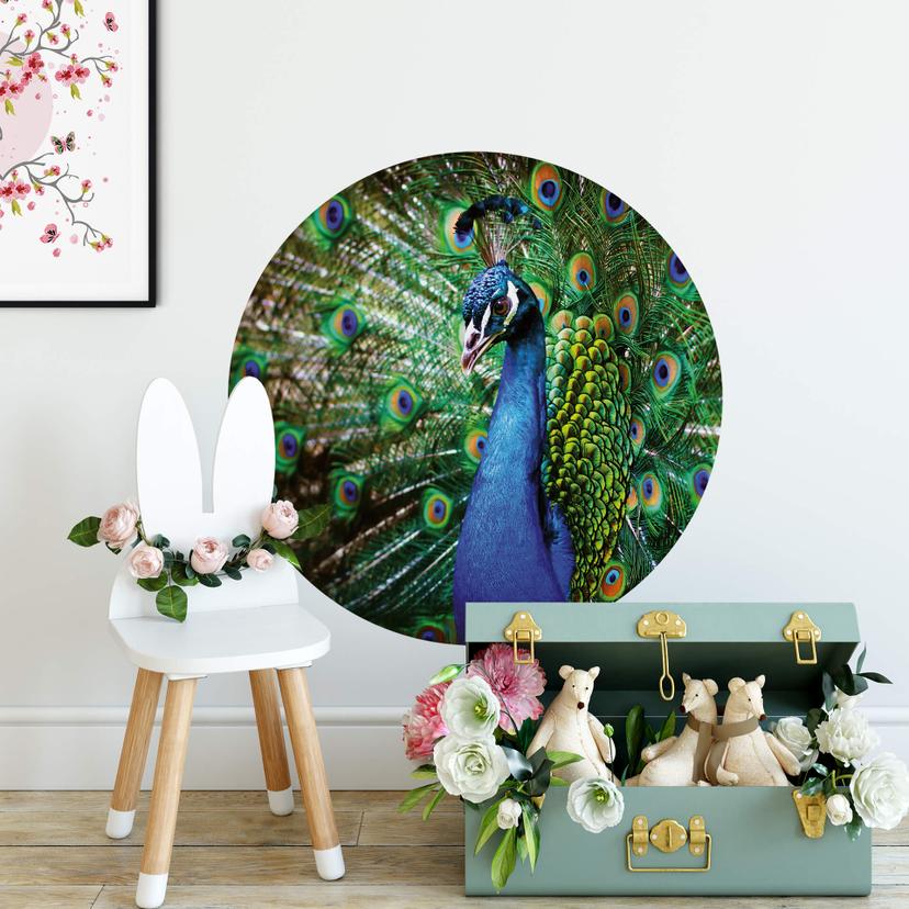 Sticker mural Magnifique paon - Rond