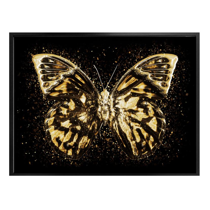 Póster Hugonnard - Mariposa dorada