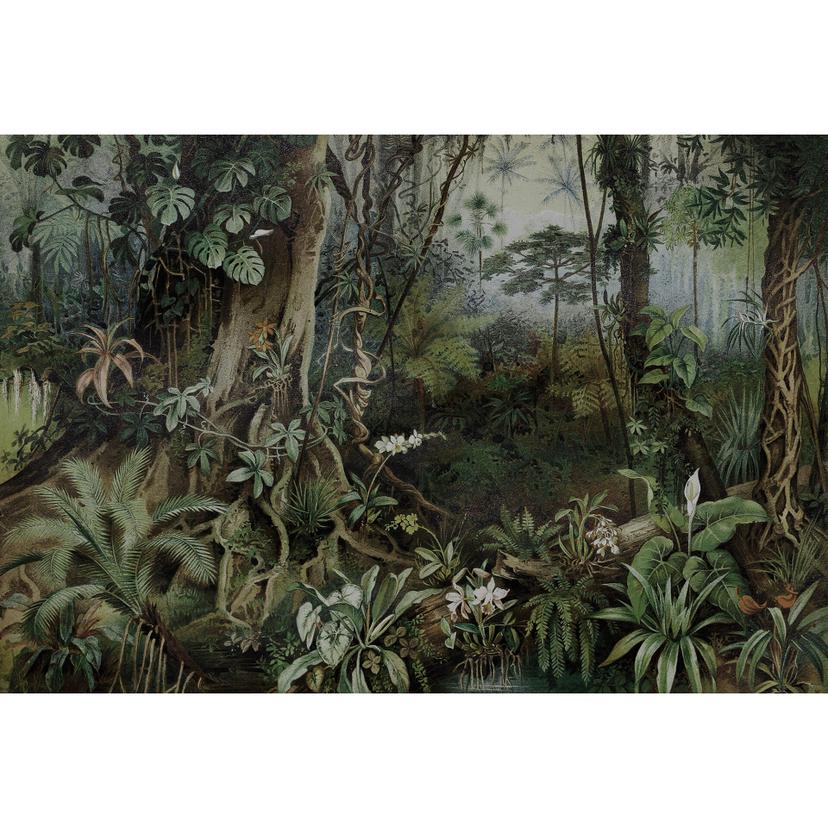 Livingwalls Fotomurale Walls by Patel giungla 2