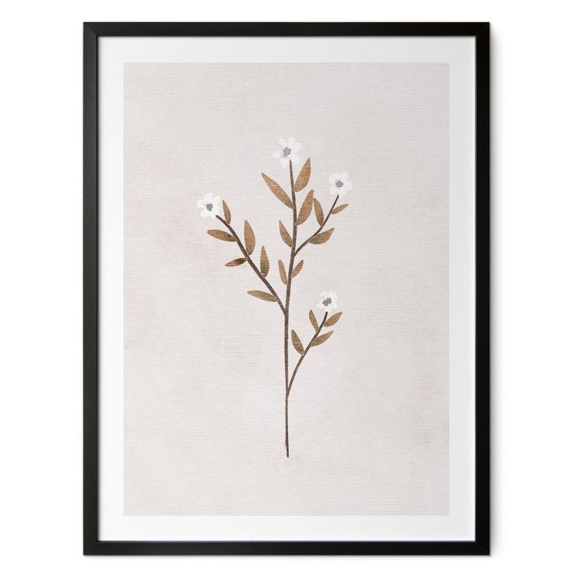 Póster Ilustración Flores - Nomeolvides - Goed Blauw