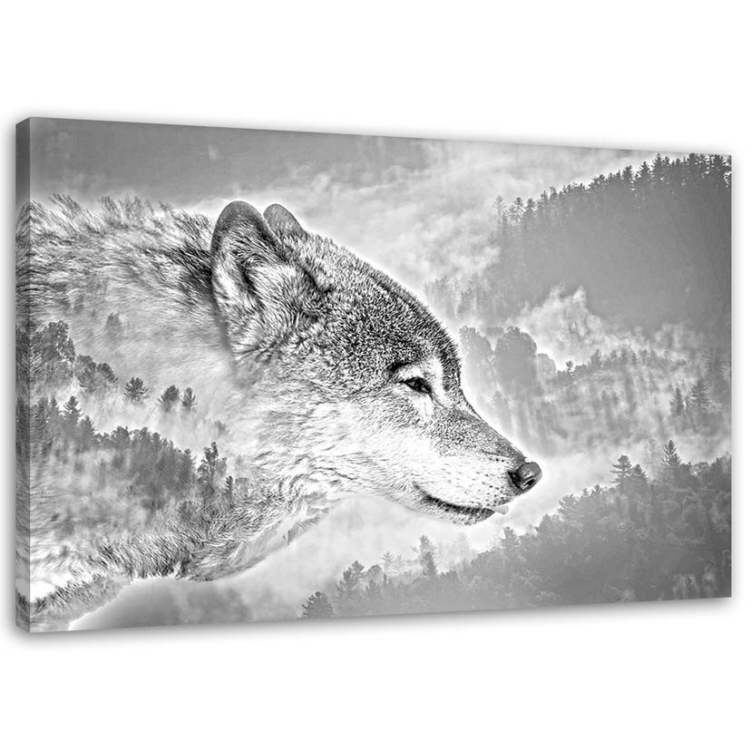 Canvasbillede, Ulv natur dyr
