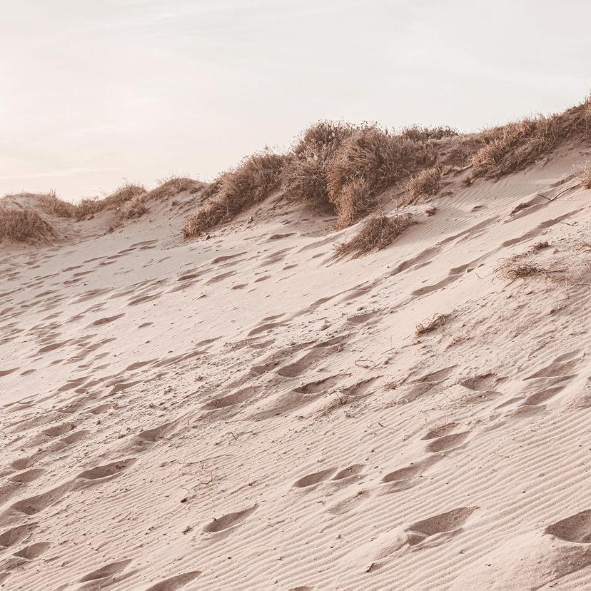 Fotomurale 1X Studio - Spiaggia di sabbia