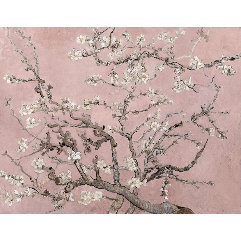 Fotomurale van Gogh - Rosé ai fiori di mandorlo