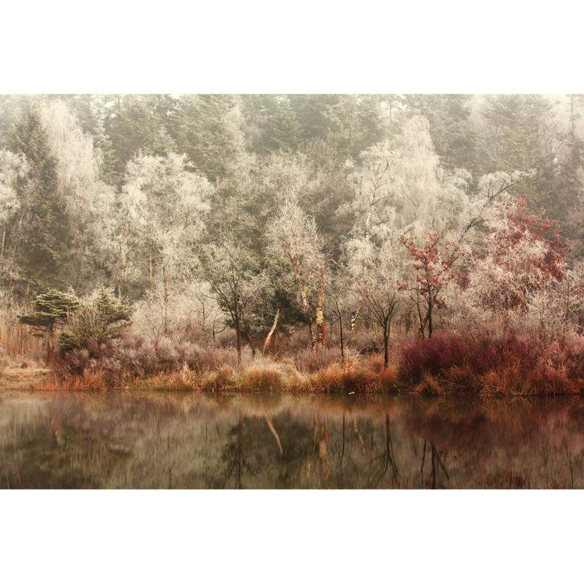 Fotomurale van Dongen - Foresta ghiacciata