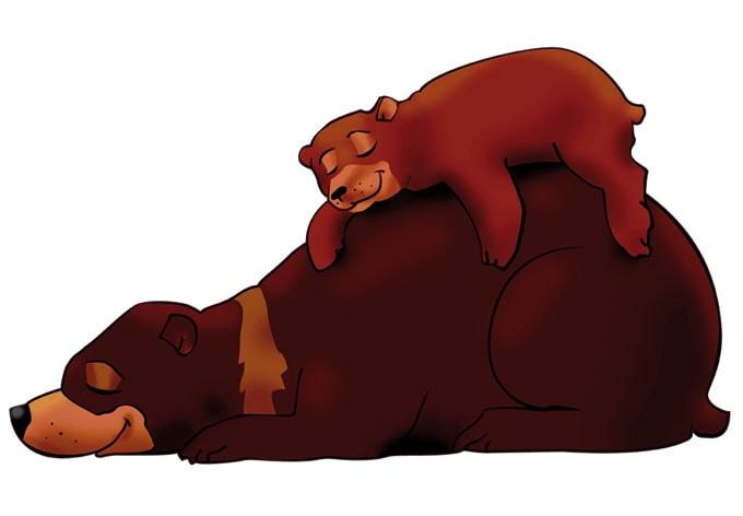 Sticker pour fenêtre : Ours Brun