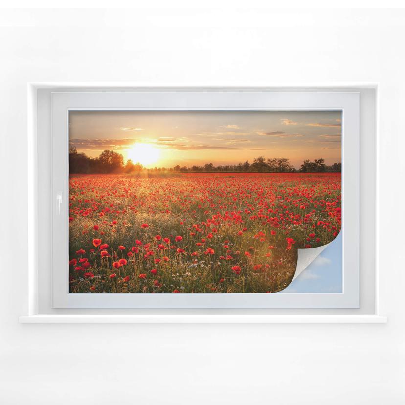 Película de privacidad Sunset poppy field