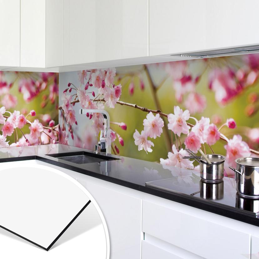 Revêtement pour cuisine - Alu-Dibond - Fleurs de cerisier
