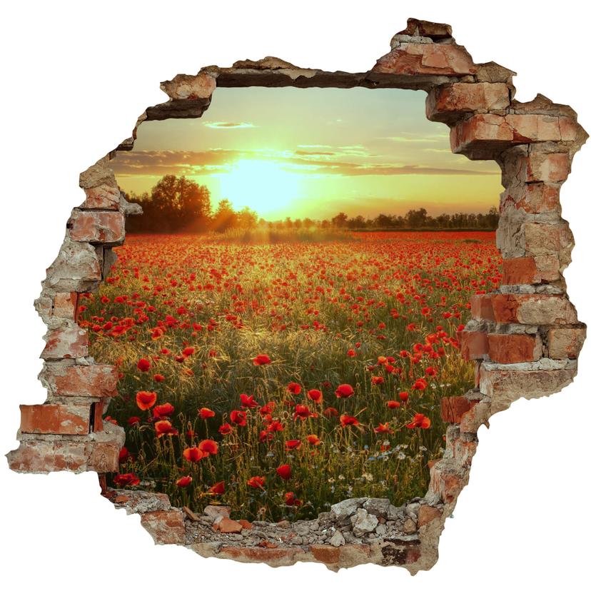 3D Muursticker Klaprozen bij zonsondergang