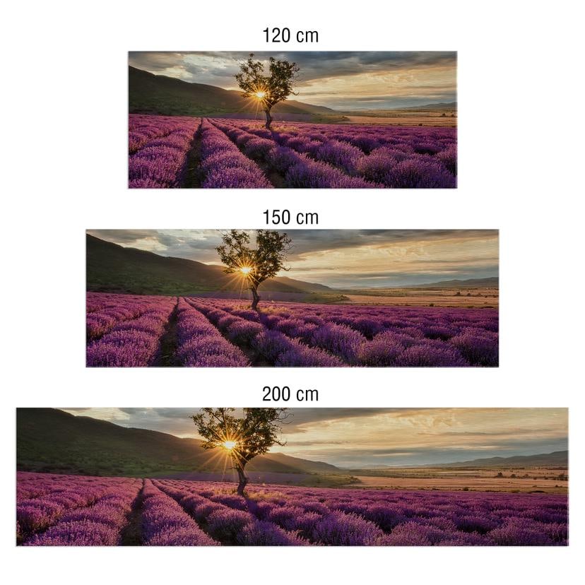 Revêtement pour cuisine - Alu-Dibond - Fleurs de lavande en Provence - Argenté