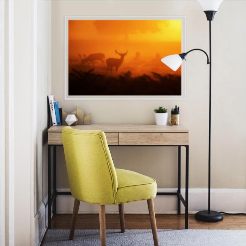 Wallprint - Cervo al tramonto