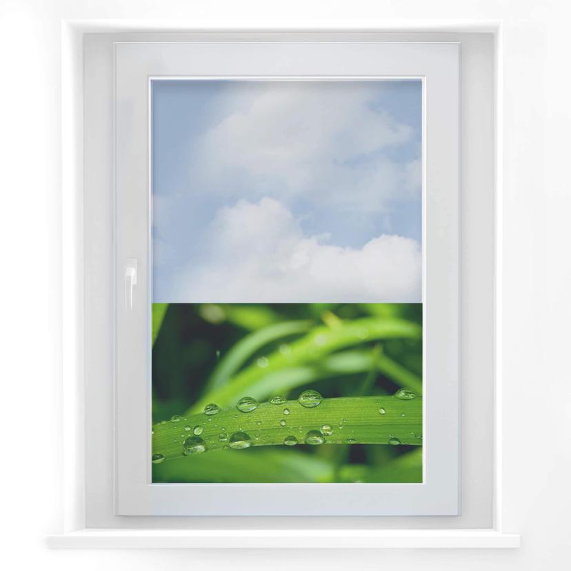 Vinduesudsmykning: Natur 5