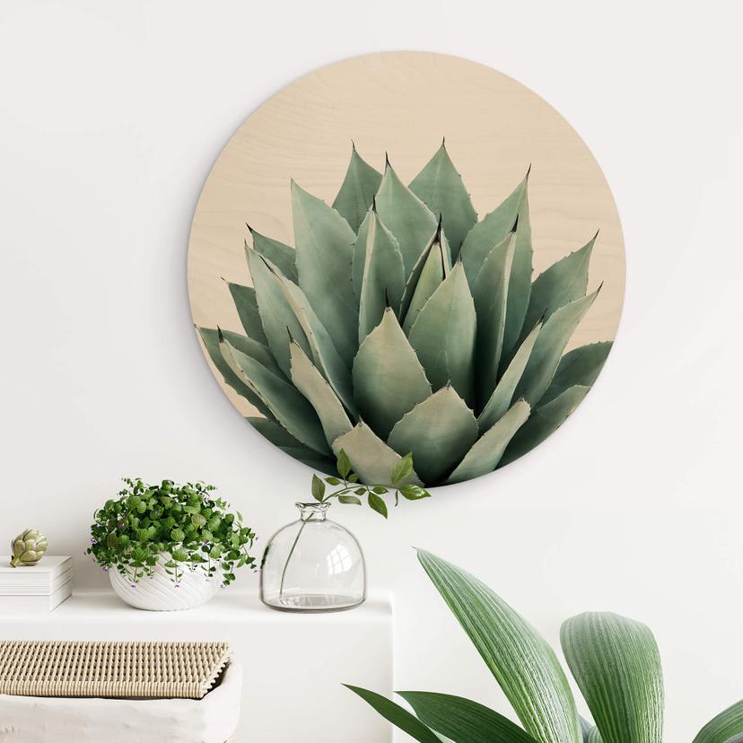 Wandcirkel Hout Sisi & Seb - Succulents