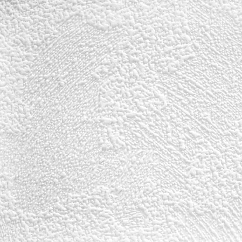 A.S. Création - carta da parati in TNT verniciabile Meistervlies Pro Protect 2, colore bianco