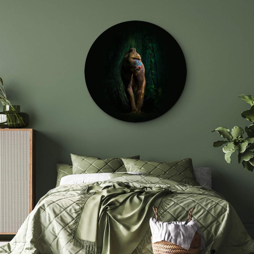 Tableau sur alu-Dibond Yunta - Dans la jungle - Rond