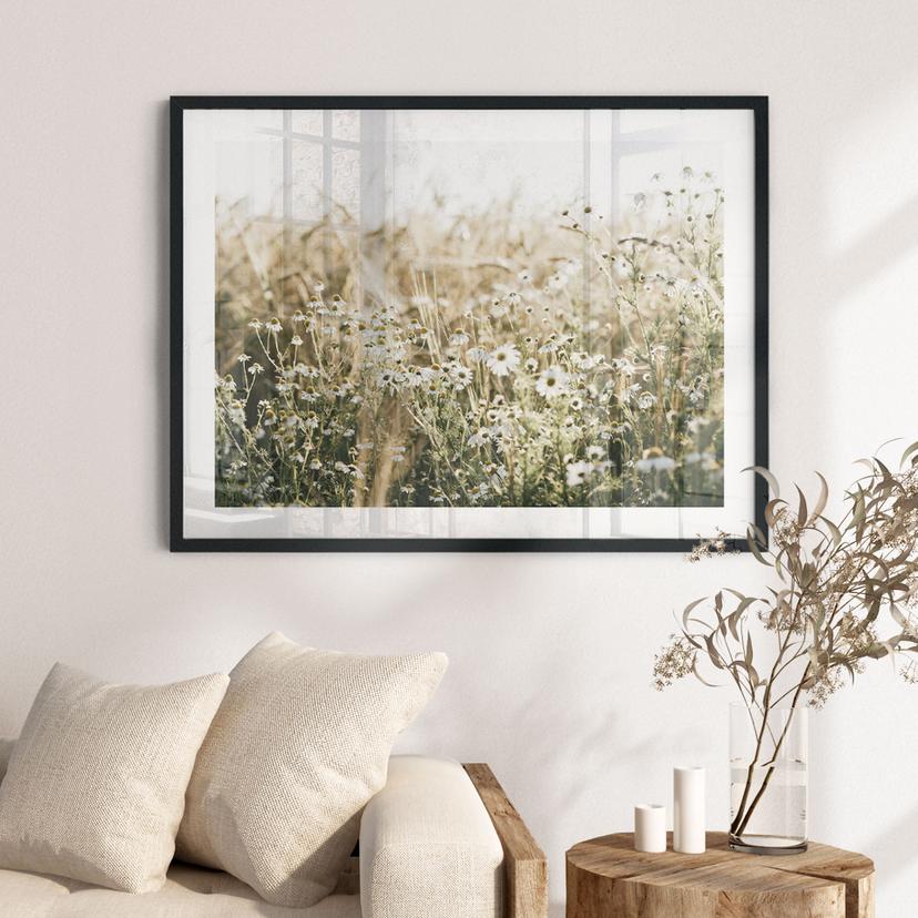 Poster prato estivo con camomilla - Annie