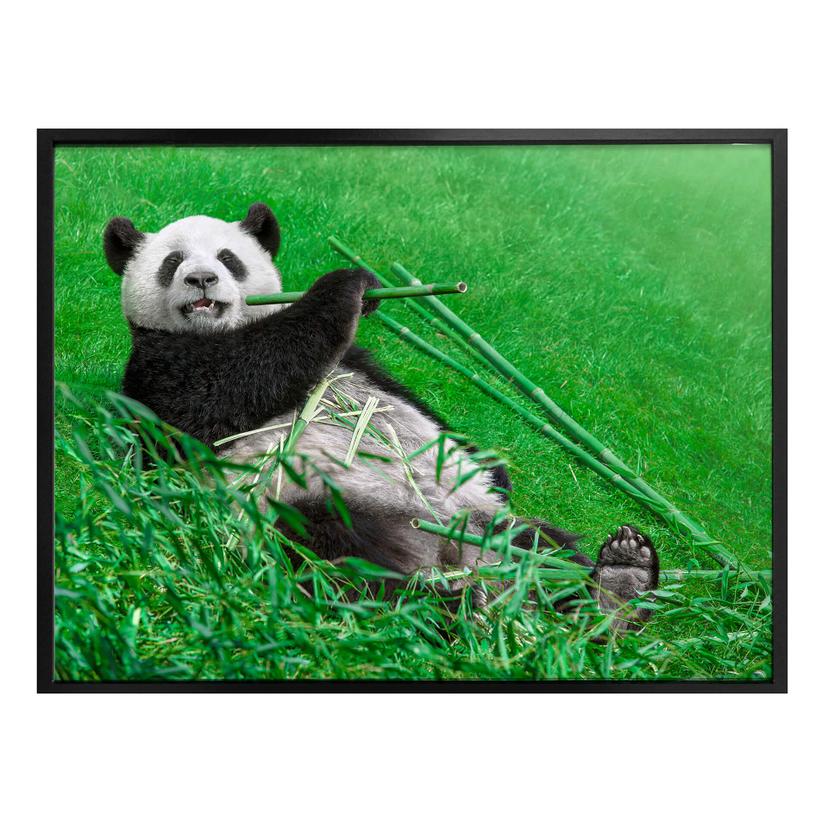 Póster Ben Heine - Panda feliz