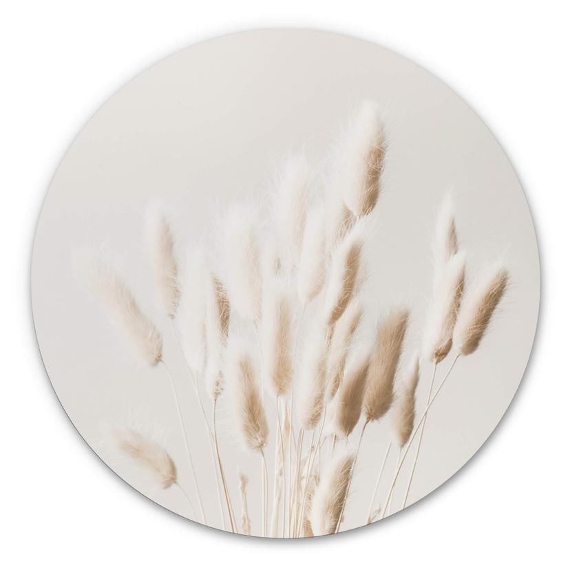 Tableau sur alu-Dibond 1X Studio - Herbes séchées - Rond