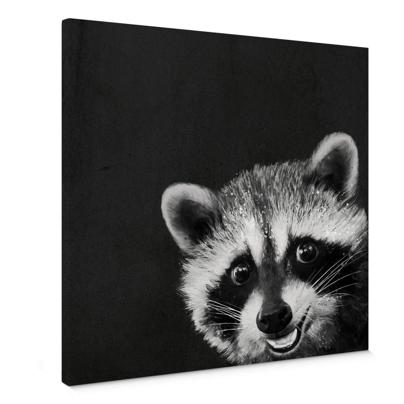 Lienzo Graves - Racoon