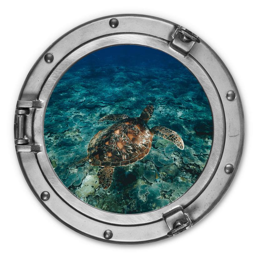 Wandcirkel Schildpad