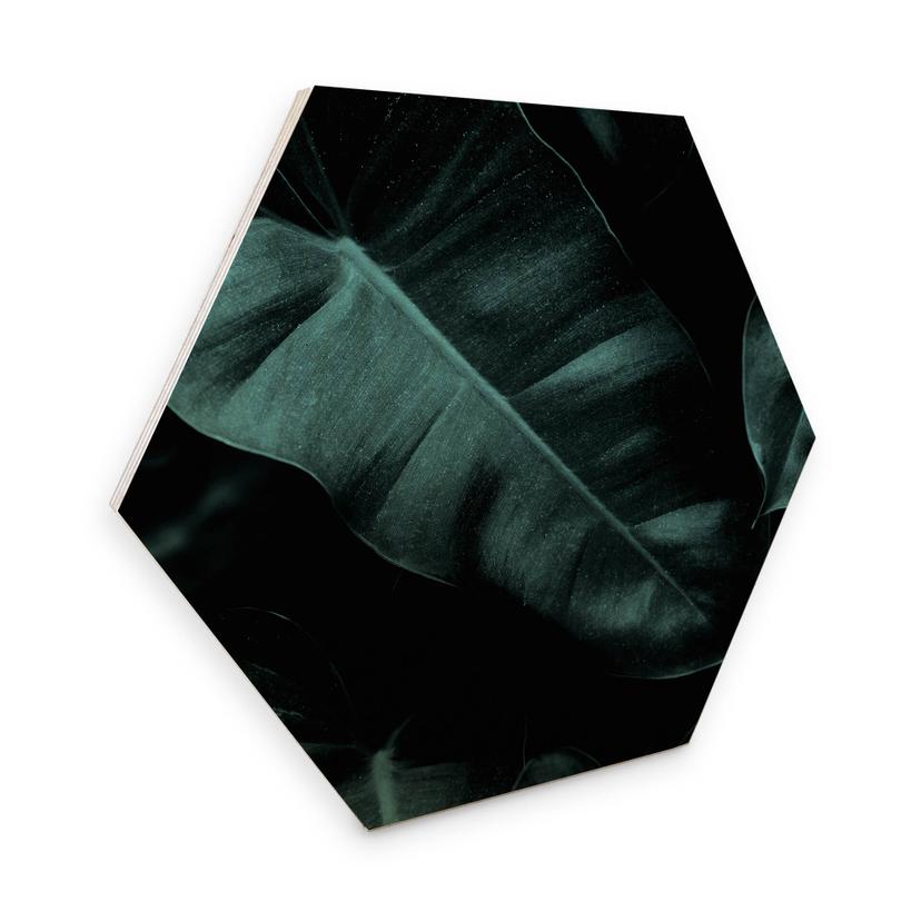 Hexagon Hout Kubistika - Jungle