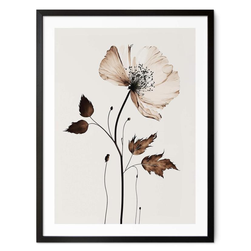 Plakat Dried Flowers in Cream - Treechild