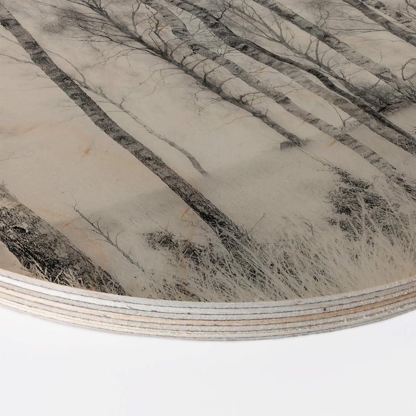Stampa su legno Talen - Betulle - tondo