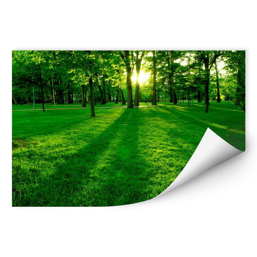 Zelfklevende Poster Park in het groen