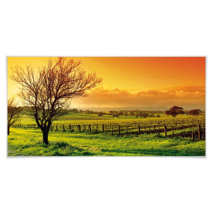 Póster Vino Paisaje - Panorama